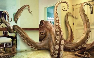 The Octopus