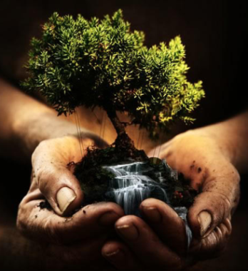 Tree in Hand