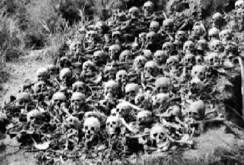 Skulls