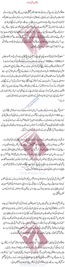 punjab-mein-urdu