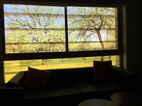 hospital-window